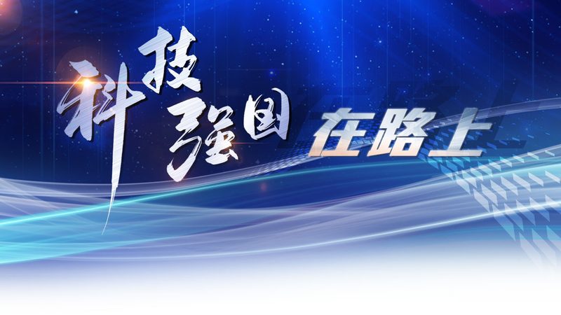 低代码平台：企业数字化转型的加速器