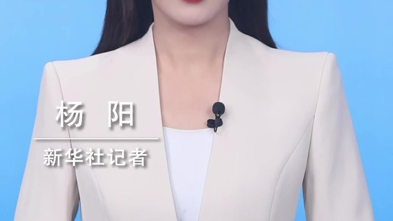 免费与收费机器学习平台：揭秘背后的差异与选择要点